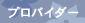 �v���o�C�_�[